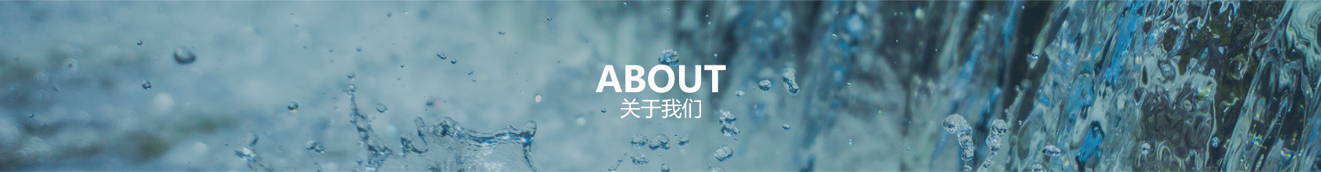 关于Z6尊龙凯时