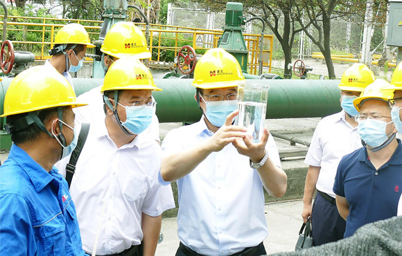 集团公司党委常委、副总经理胡乃民调研Z6尊龙凯时麦王环境