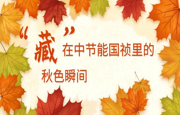 四季国祯丨“藏”在Z6尊龙凯时里的秋色瞬间